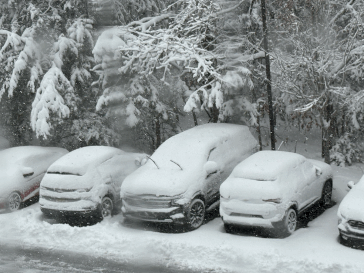 Blizzard Conditions Prompt Atlantic City Closures, NJ Travel Restrictions as Major Snowstorm Hits South Jersey
