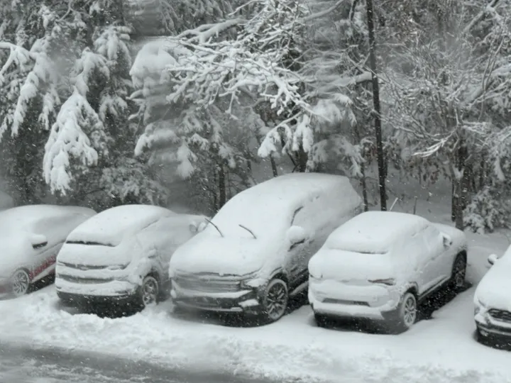 Blizzard Conditions Prompt Atlantic City Closures, NJ Travel Restrictions as Major Snowstorm Hits South Jersey
